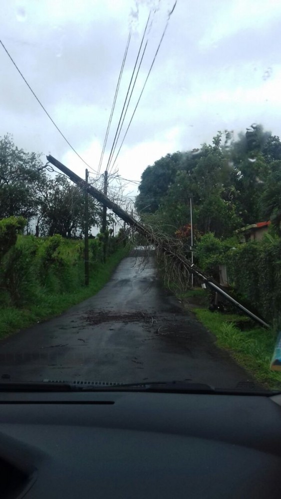 OURAGAN MARIA. Quartier du vert Pré Martinique.