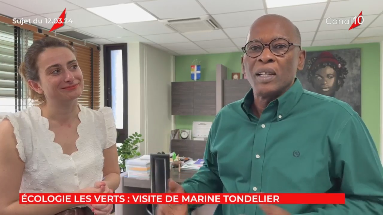 Onews Guadeloupe. Le Jt de Canal 10