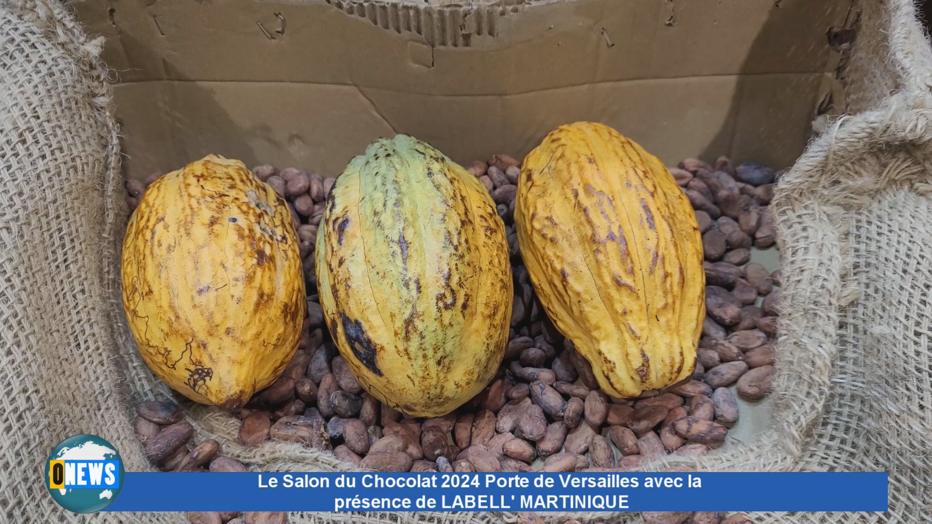 Onews Paris. La Martinique présente au Salon du Chocolat 2024 Porte de Versailles 2024